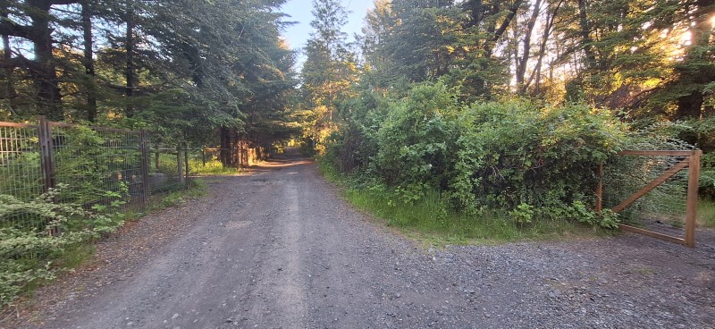 Casa en Venta en Pucón 2 dormitorios 1 baño